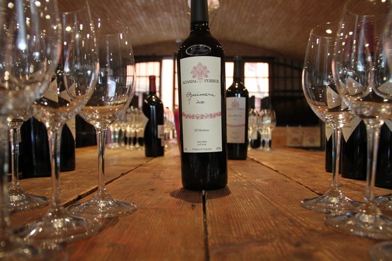 Tasting of Achaval Ferrer Wine